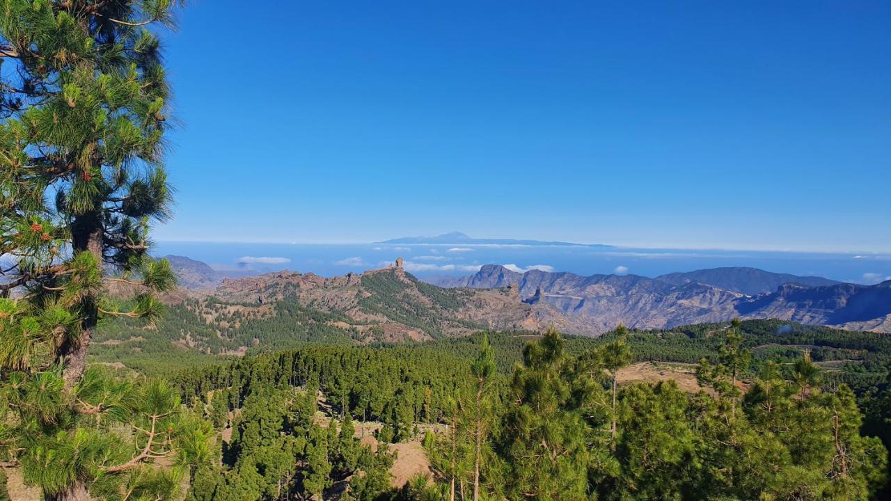 Casa Cueva Paquito Villa Vega de San Mateo Exteriör bild